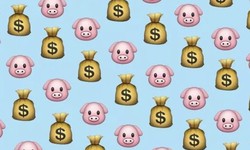 How to Safely Navigate and Protect Your Finances on Paypig Websites