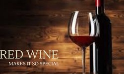 Types of Red Wine Every Wine Enthusiast Must Know About