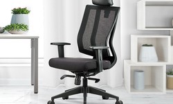 Enhancing Productivity with Ergonomic Study Chairs: Trends for 2024