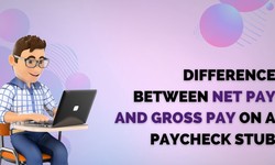 Difference Between Net Pay and Gross Pay on a Paycheck Stub