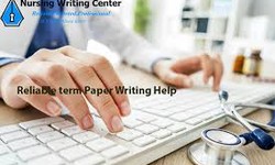 Take Someone to Do My Class: Exploring Nursing Paper Writing Services