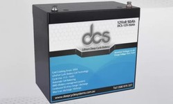 Exploring the Capabilities of Lifepo4 50ah Battery