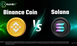 BNB Coin vs Solana Token: A Comparative Analysis