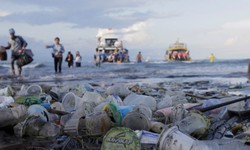 Know The Top Reasons Why Plastic Waste Management Is Important