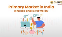 Primary Market: Meaning, Functions, Types and More