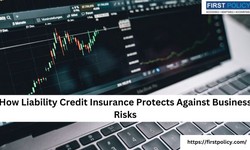 How Liability Credit Insurance Protects Against Business Risks
