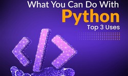 What You Can Do With Python: Top 3 Uses