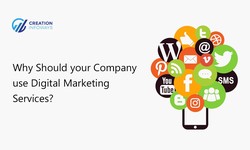 Why Should your Company use Digital Marketing Services?