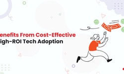 Benefits From Cost-Effective High-ROI Tech Adoption