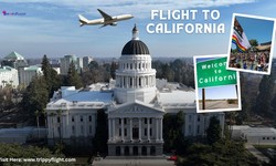 How to Score a Great Deal on a Flight to California