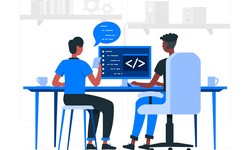What Are SDLC Solutions in Custom Web Application Development?