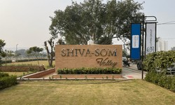 Govt Approved Plots in Sohna: Your Ideal Investment Opportunity