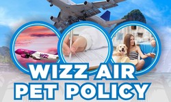 Wizz Air Pet Policy: A Comprehensive Guide for Traveling with Your Pet