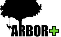 Why ArborPlus is Your Go-To Tree Trimming and Removal Service