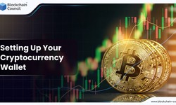 Setting Up Your Cryptocurrency Wallet