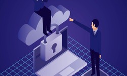 Riding the Wave of Cloud HR Software for Limited & Selected Tasks