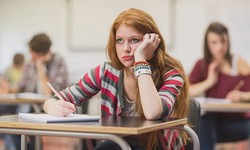 What Support Services are Offered at Mississauga High Schools?
