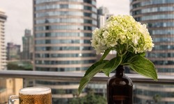 Family-Friendly Hotels in Colombo, Sri Lanka