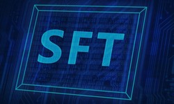 Why Semi Fungible Tokens Important For The Web3 Ecosystem?
