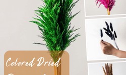 Colored Dried Pampas Grass Will Create a Jaw-Dropping Home Decoration