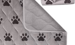 The Reusability and Affordability of Washable Pee Pads
