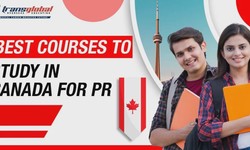 Best Course to Study in Canada for PR for 2024 Intake