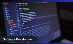 What is Project Portfolio Management Software?