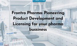 Collaborative and Client-Centered Formulation Development