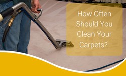 How Often Should You Clean Your Carpets? Expert Recommendations