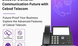 Boost Productivity: How Business VoIP Phone Services Can Help Your Team