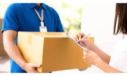 Is Slow Shipping Getting You Down in Leicester? Unleash the Speed with Local Couriers!