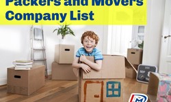 The Best Packing Supplies You Need for a Home Shift with Packers and Movers in Ghaziabad