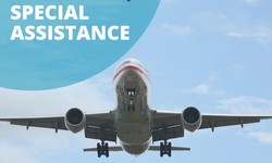 Smooth Travels Ahead: Turkish Airlines Special Assistance Explained