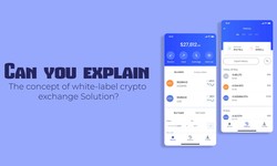 Can you explain the concept of white-label cryptocurrency exchange software?