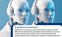 Revolutionizing E-commerce with AI Chatbots