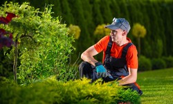 How To Choose the Right Garden Services for Your Needs?