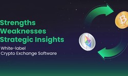 White-label Cryptocurrency Exchange Software: Strengths, Weaknesses, and Strategic Insights