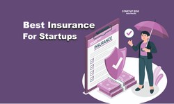 The Importance of Insurance for Startups