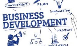 Building Strong Partnerships for Business Development
