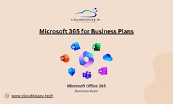 Maximizing Productivity with Office 365 Business Basic and Microsoft 365 for Business Plans