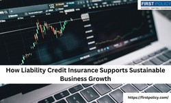 How Liability Credit Insurance Supports Sustainable Business Growth