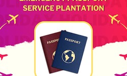 Rushed Expedited Passports: Your Fast Track to Travel Convenience