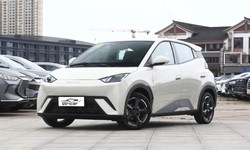 Leading the Charge: Chinese Cars in the Era of New Energy