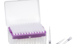 Petri Dishes: Durable and Sterile Containers for Cell Culture