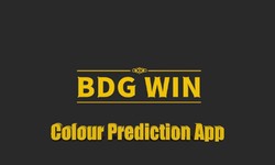 Latest Updates and Features in the BDG Win App