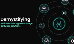 Demystifying White-Label Cryptocurrency Exchange Software Solutions