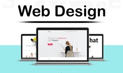 Web Designing Institute in Noida