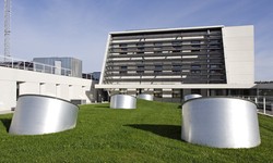 How Renewable Energy Companies Are Innovating For A Sustainable Future In Spain