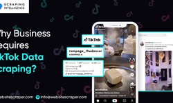 Why Business Requires TikTok Data Scraping?