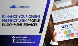 Enhance Your Online Presence with Profile Enrichment Services